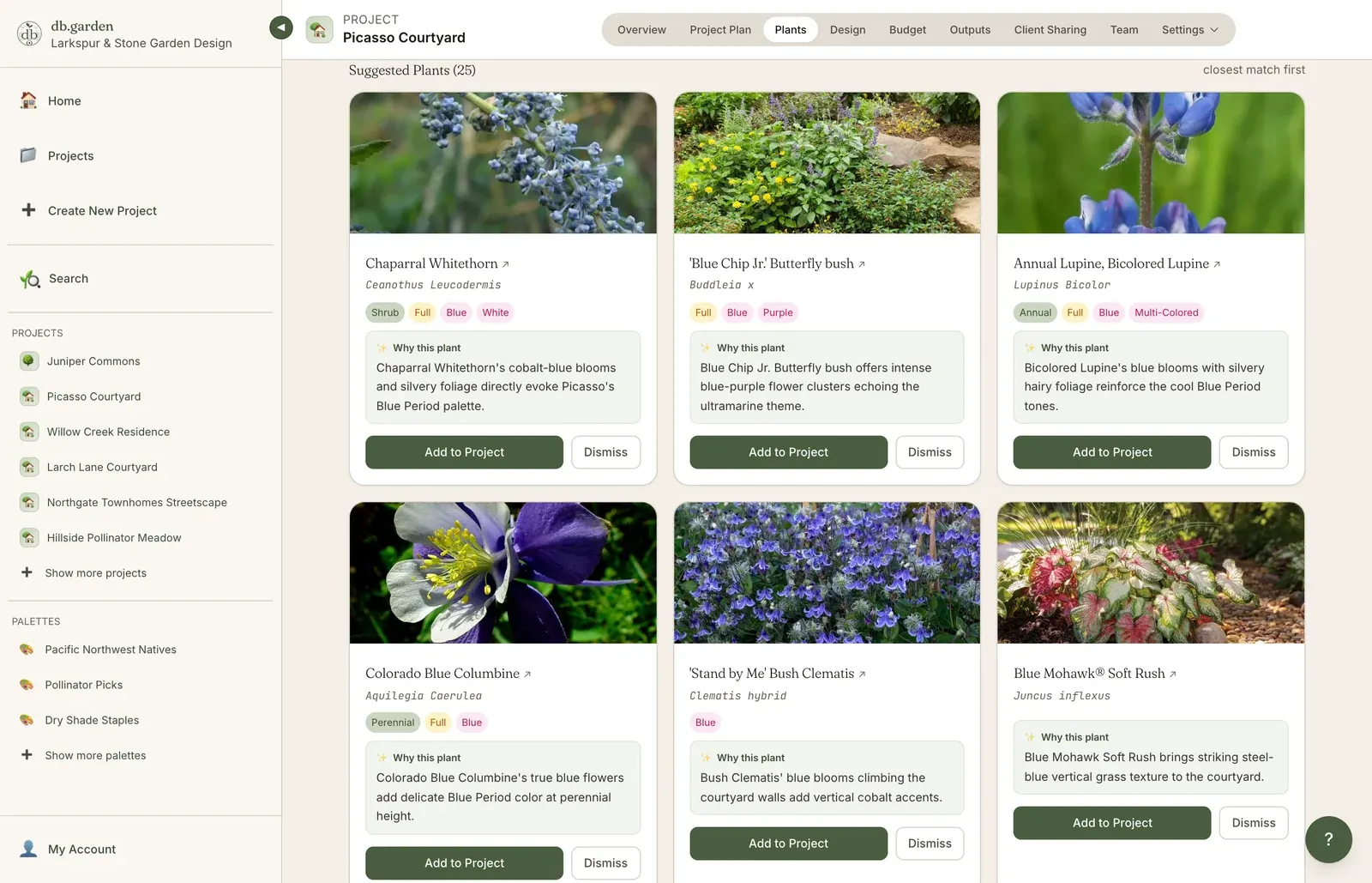 AI plant assistant results for a Picasso colour-scheme brief: plant cards such as Chaparral Whitethorn, Blue Chip Jr. butterfly bush and Colorado Blue Columbine, each with the reason it was chosen